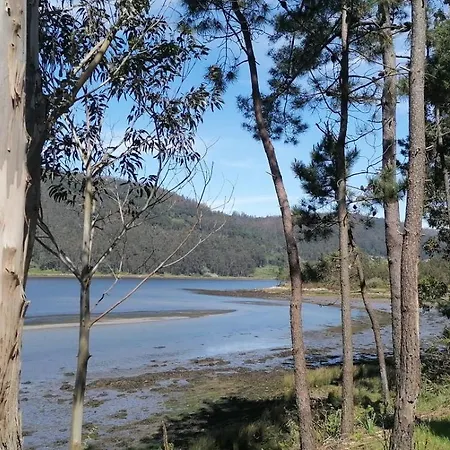 Daire O Lar Da Tia Carmen